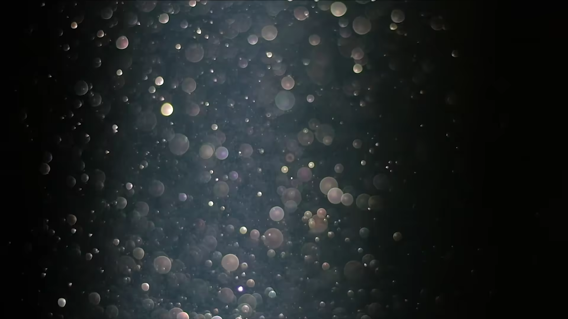 Музыка для цветов — -.618 immersive experience