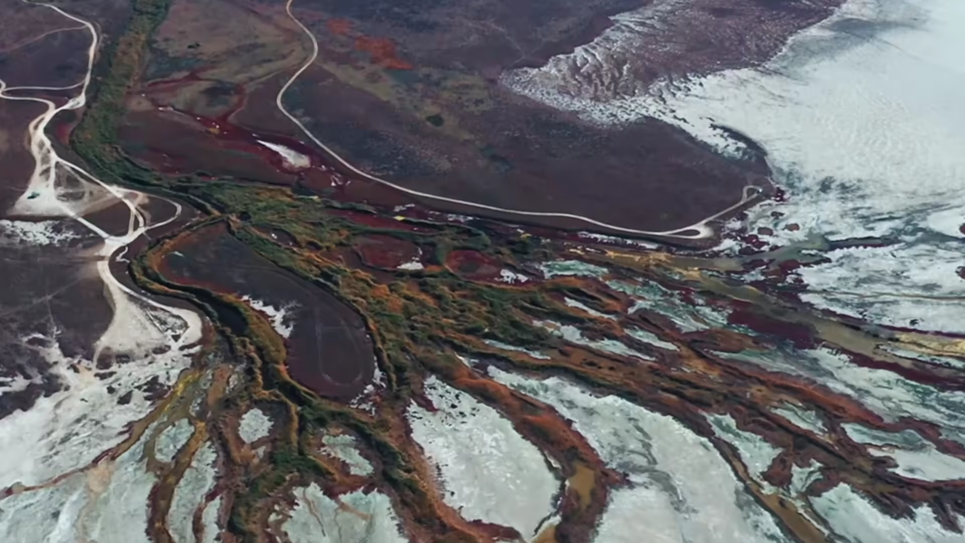 ELTON — -.618 immersive experience